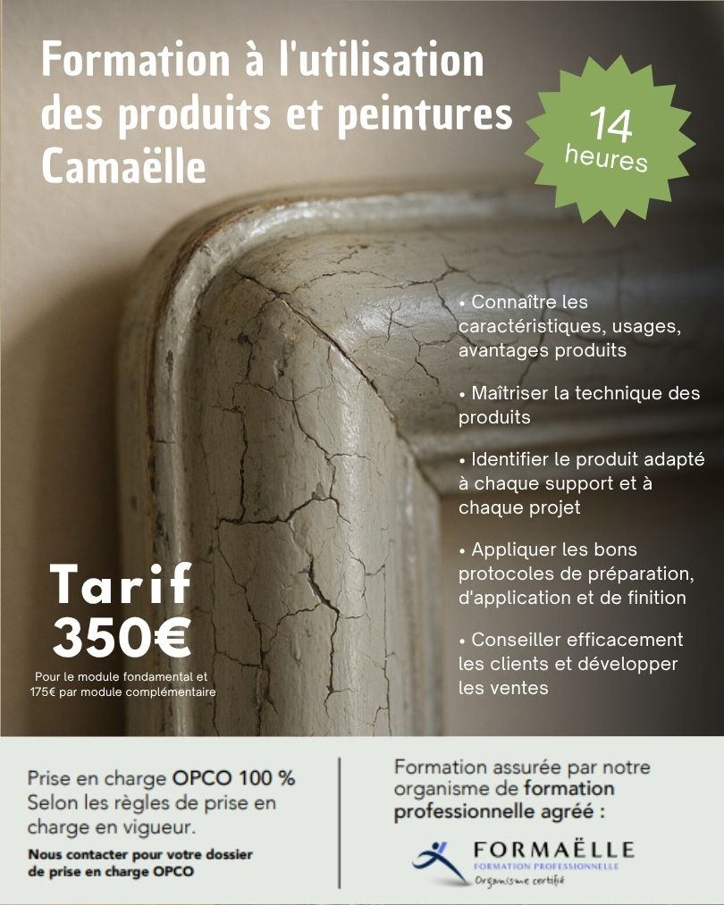 Formation à l'utilisation des produits et peintures Camaëlle​ - Formation Formaëlle