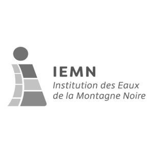 logo IEMN